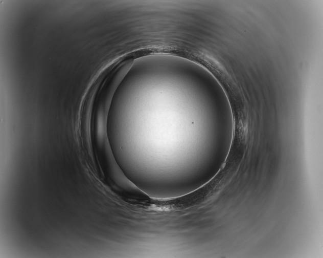 X0000088910484200706081344