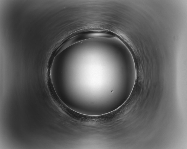X0000088910485200706081344