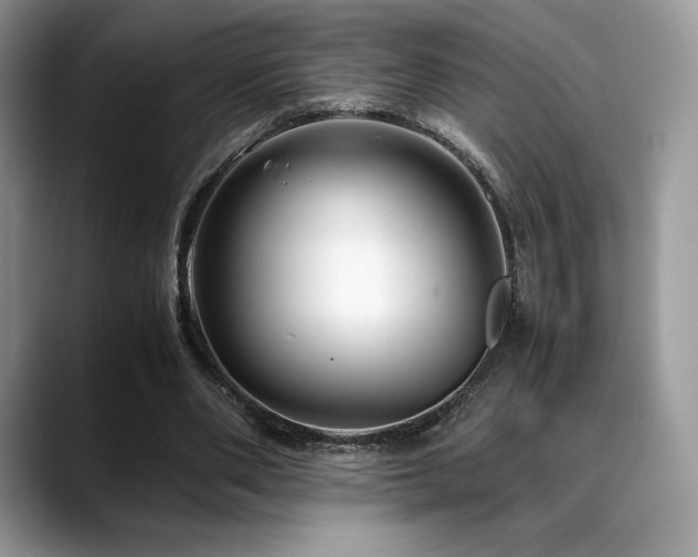 X0000088910486200706081344