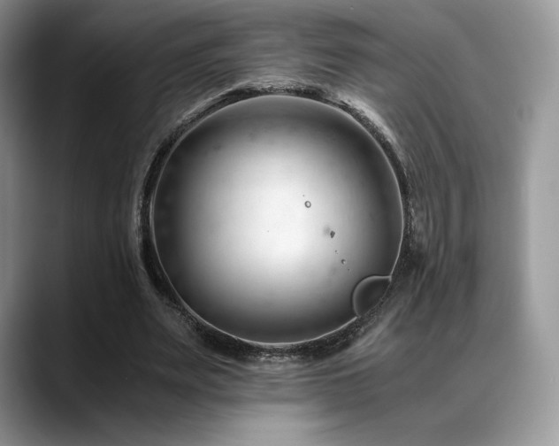 X0000088910487200706081344