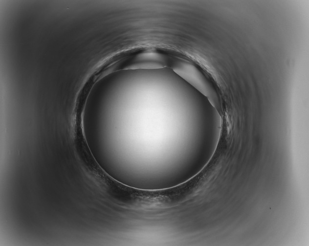 X0000088910488200706081344