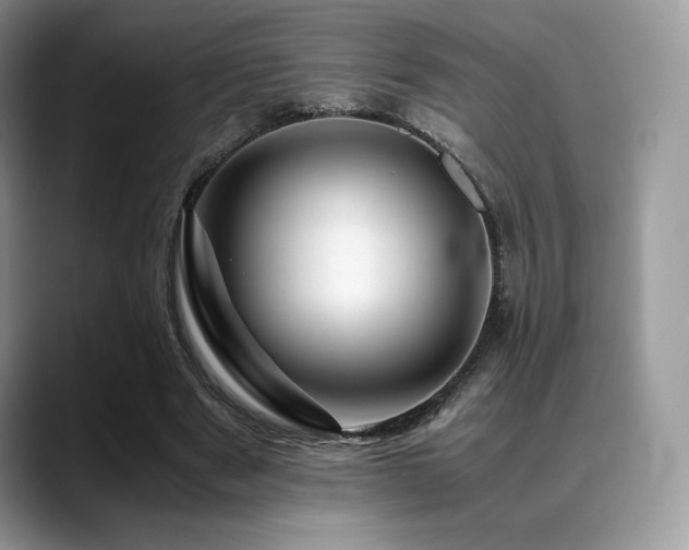X0000088910489200706081344