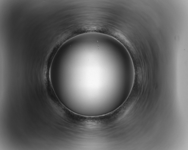 X0000088910490200706081344