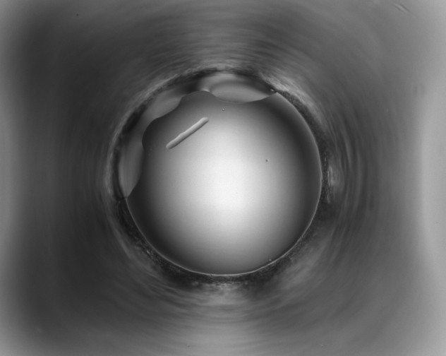 X0000088910492200706081344