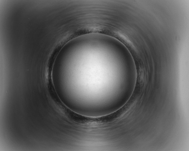 X0000088910494200706081344