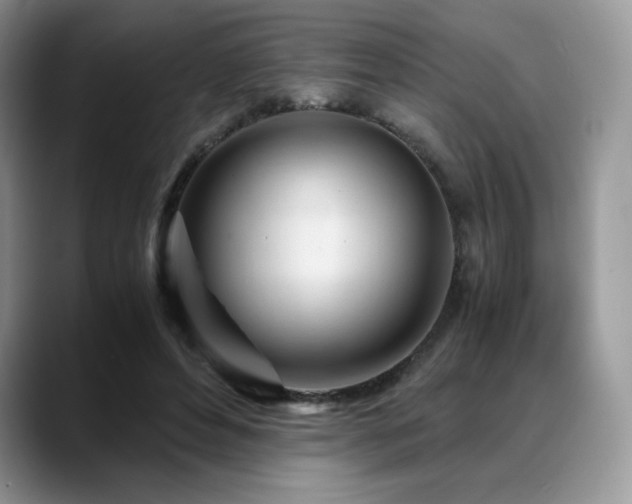 X0000088910496200706081344