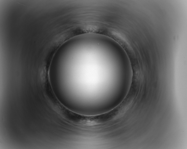 X0000088910498200706081344
