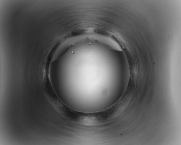 X0000088910500200706081344
