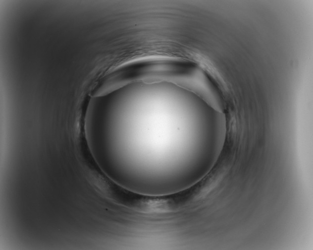 X0000088910501200706081344