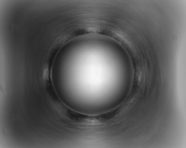 X0000088910502200706081344