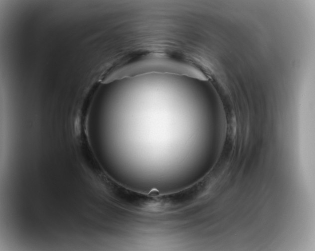 X0000088910504200706081344