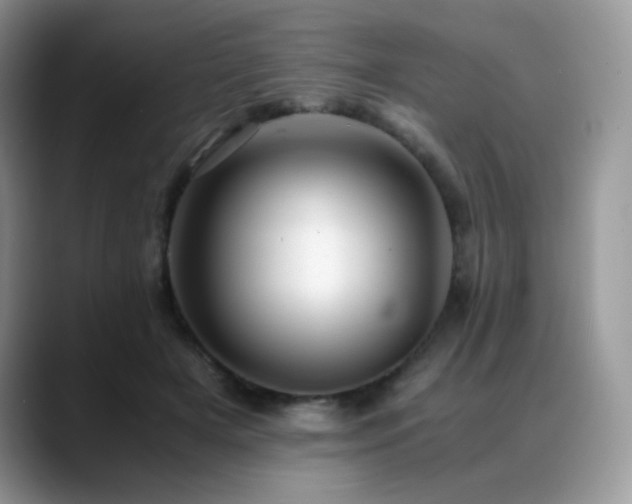 X0000088910505200706081344