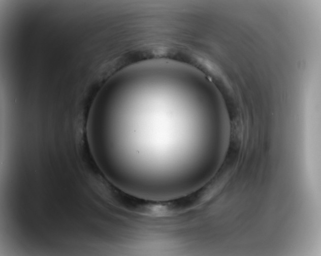 X0000088910509200706081344