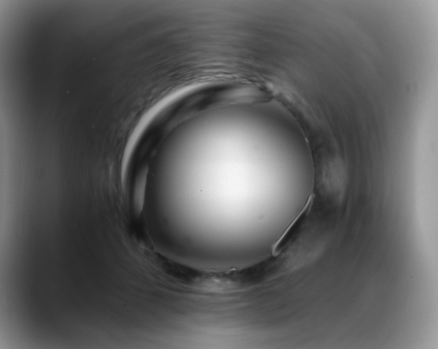 X0000088910512200706081344