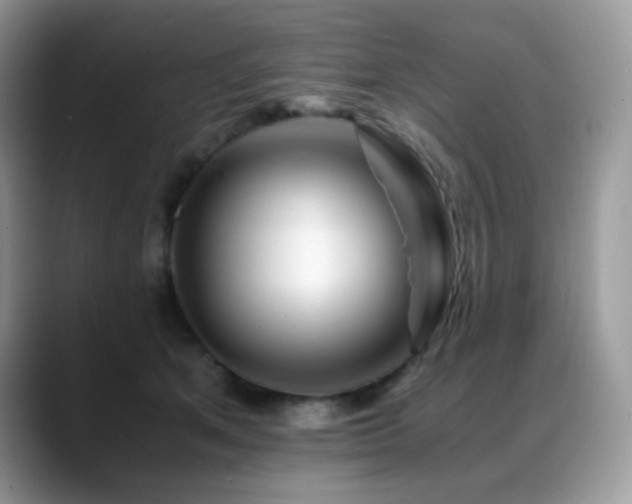 X0000088910513200706081344