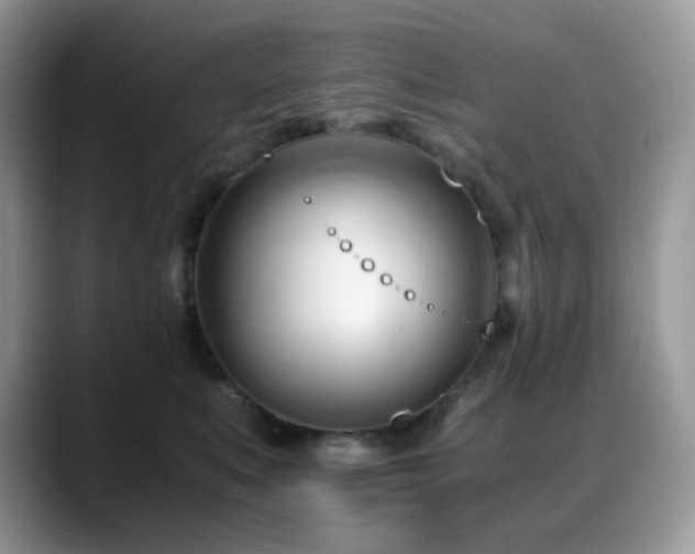 X0000088910519200706081344