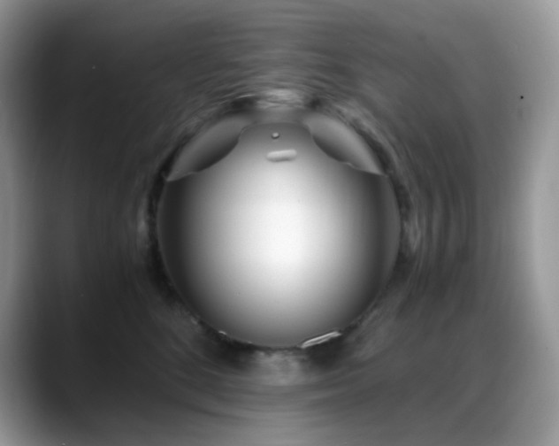 X0000088910520200706081344