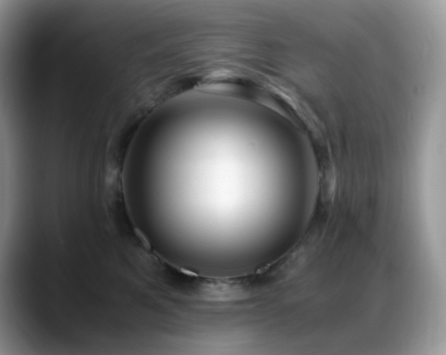 X0000088910521200706081344