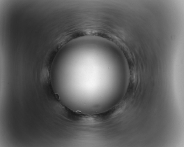 X0000088910523200706081344