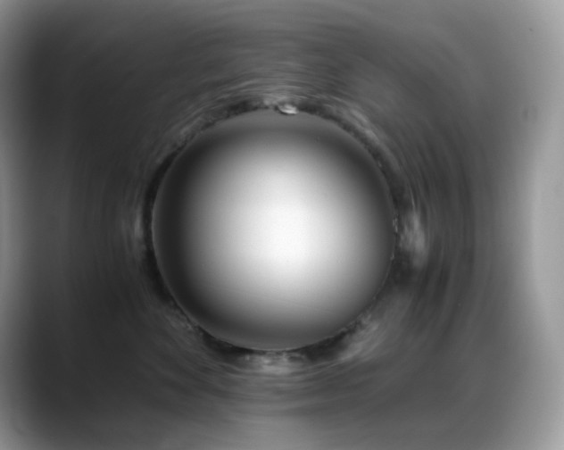 X0000088910524200706081343