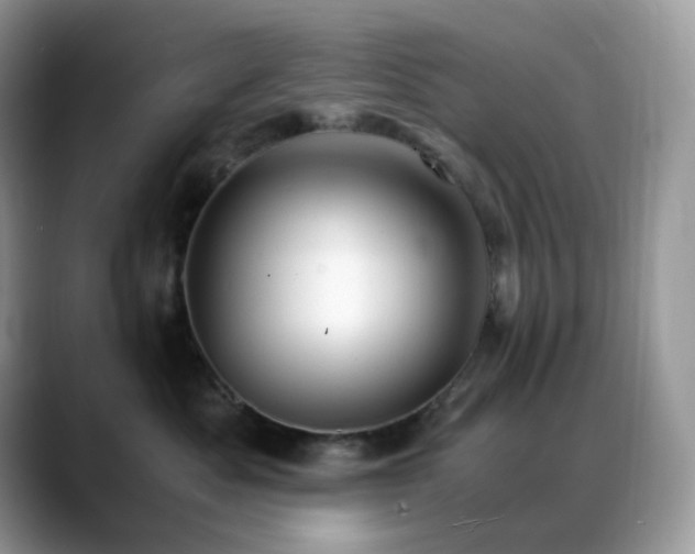 X0000088910525200706081343
