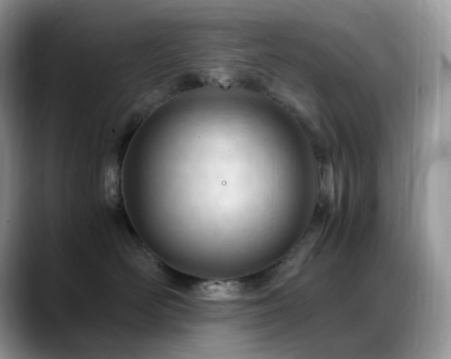 X0000088910526200706081343