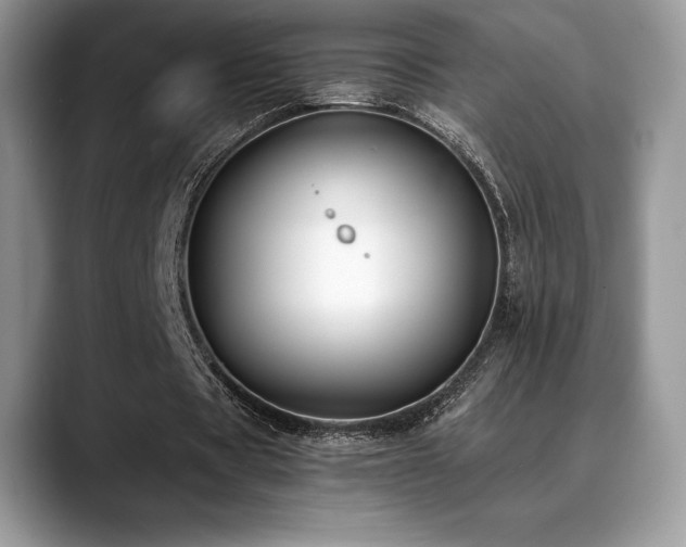 X0000088910529200706081343