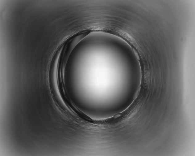 X0000088910530200706081343