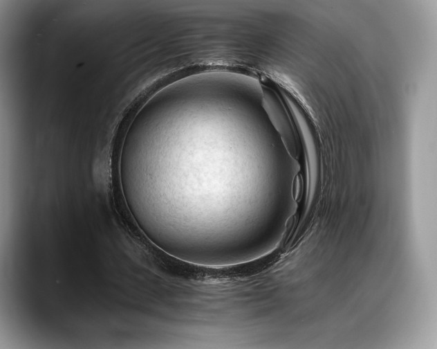 X0000088910531200706081343