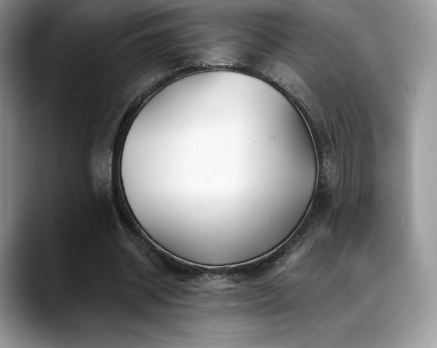 X0000088910534200706081343