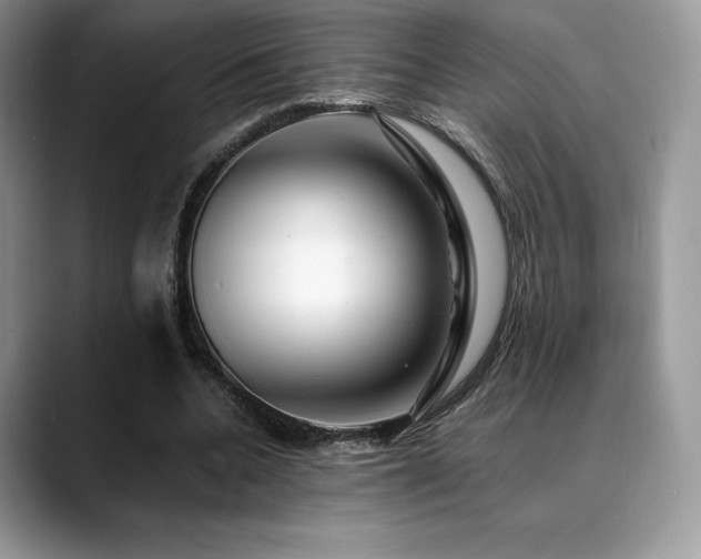 X0000088910536200706081343