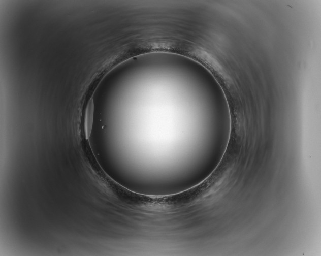 X0000088910537200706081343
