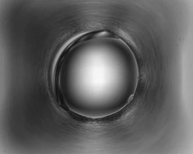 X0000088910538200706081343