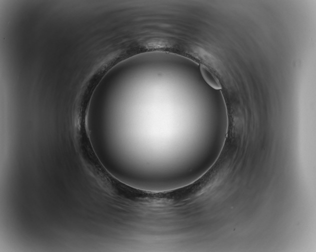 X0000088910539200706081343