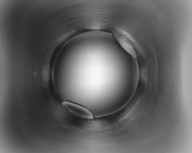 X0000088910540200706081343