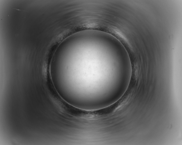 X0000088910542200706081343