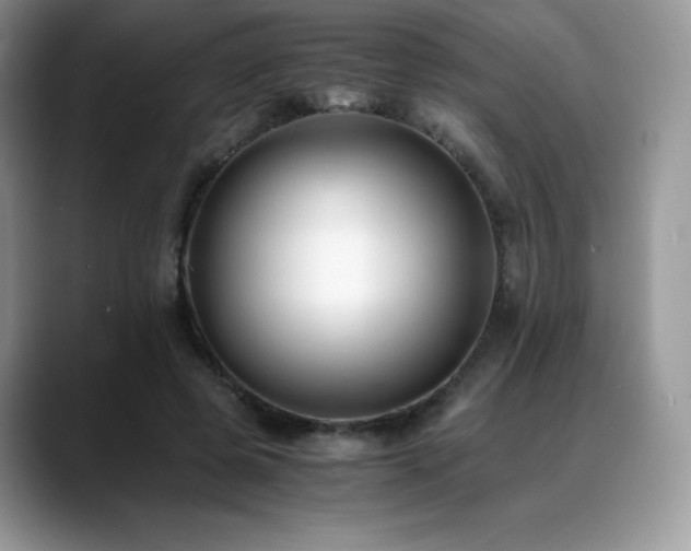 X0000088910545200706081343