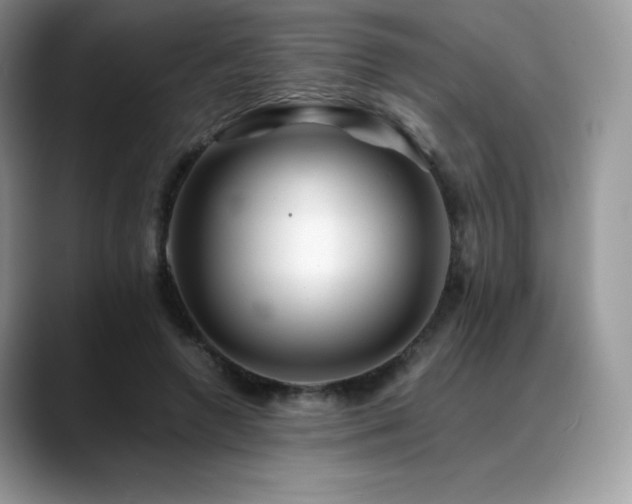 X0000088910546200706081343