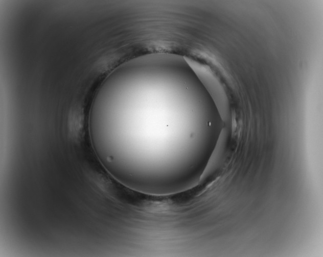 X0000088910548200706081343