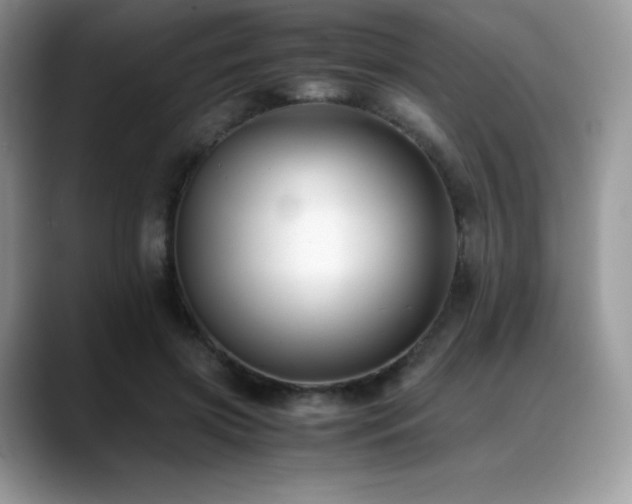 X0000088910549200706081343