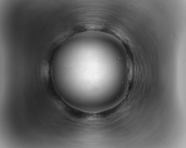 X0000088910550200706081343
