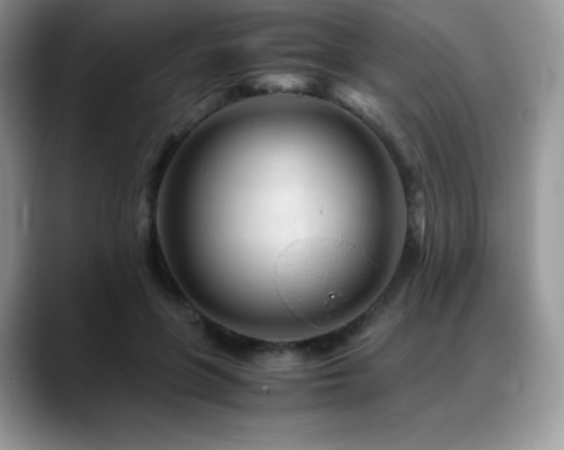 X0000088910551200706081343
