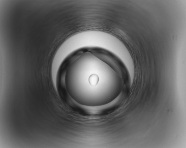 X0000088910552200706081343