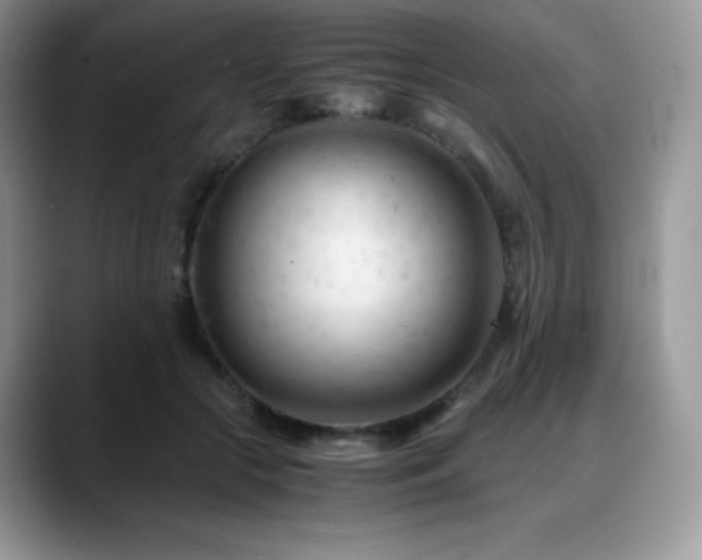 X0000088910553200706081343