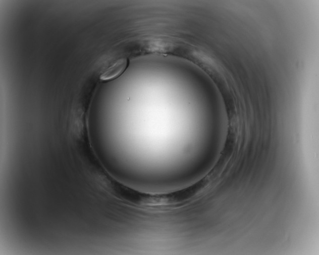 X0000088910554200706081343