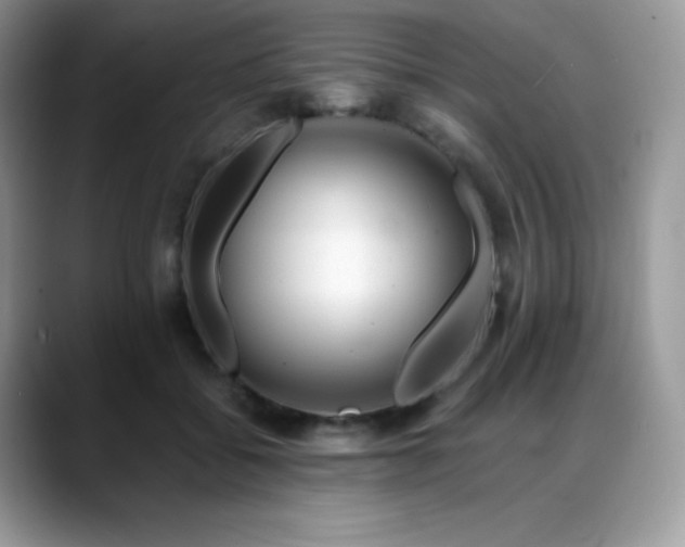 X0000088910556200706081343