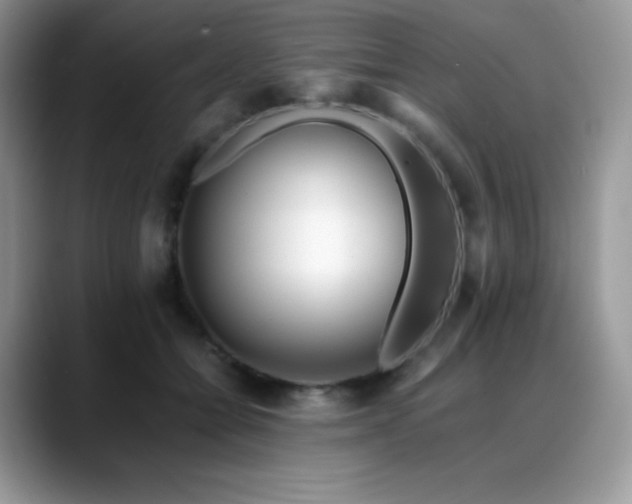 X0000088910558200706081343