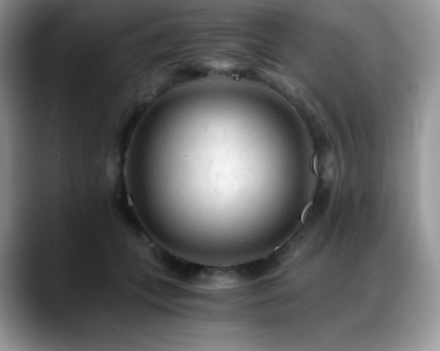 X0000088910559200706081343