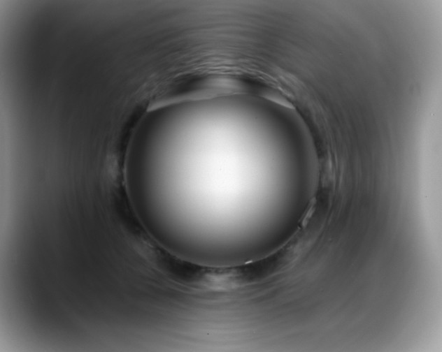 X0000088910560200706081343