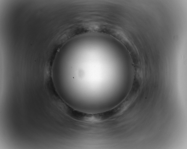 X0000088910561200706081343